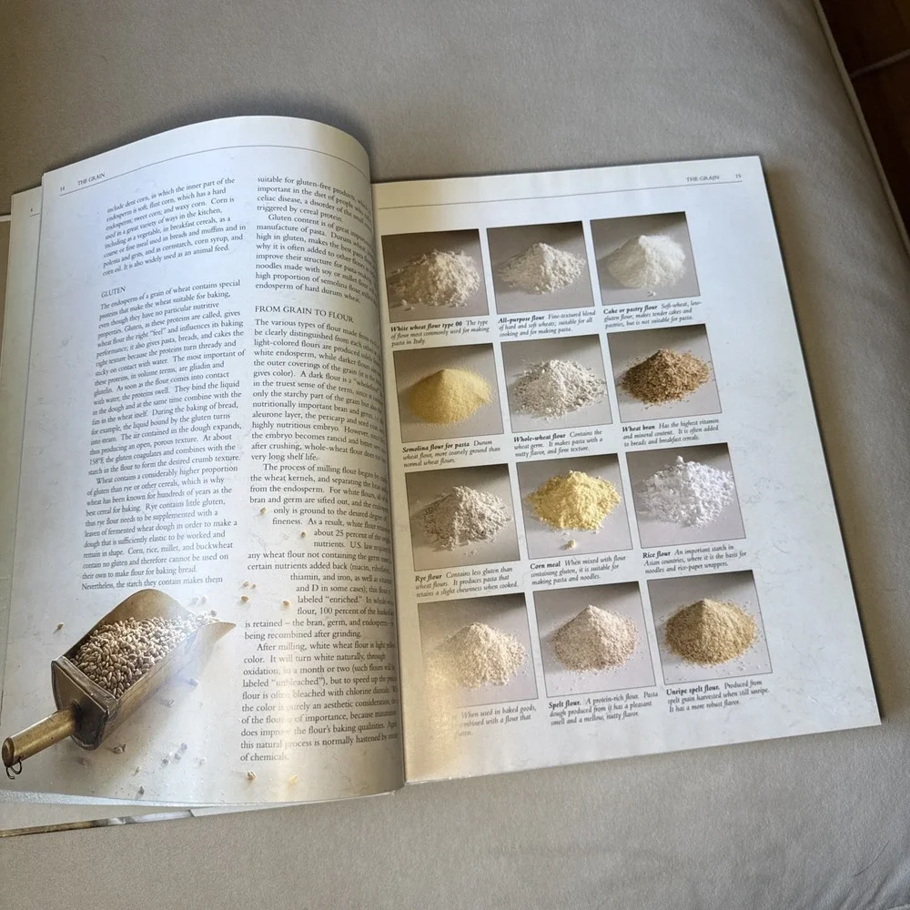 The Pasta Bible - Hardcover By Rizzi, Silvio - GOOD Home Cooking Italian Recipe